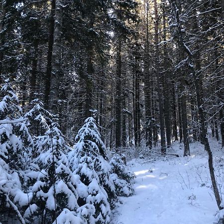 Kungsbergetnatur Järbo Buitenkant foto