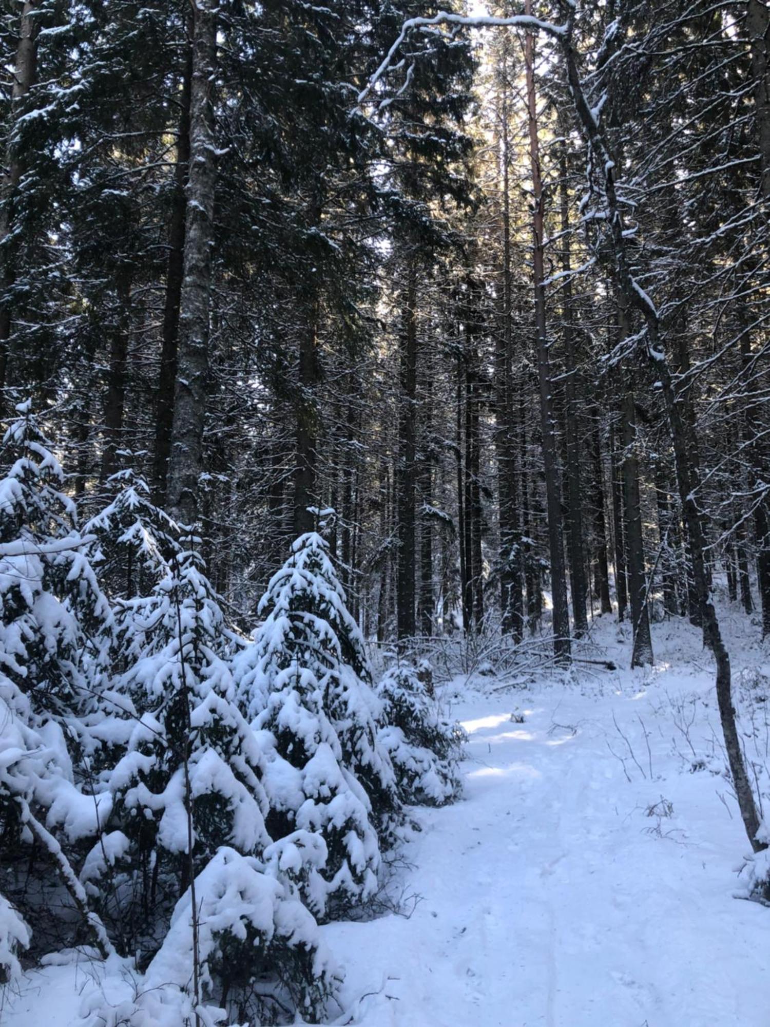 Kungsbergetnatur Järbo Buitenkant foto
